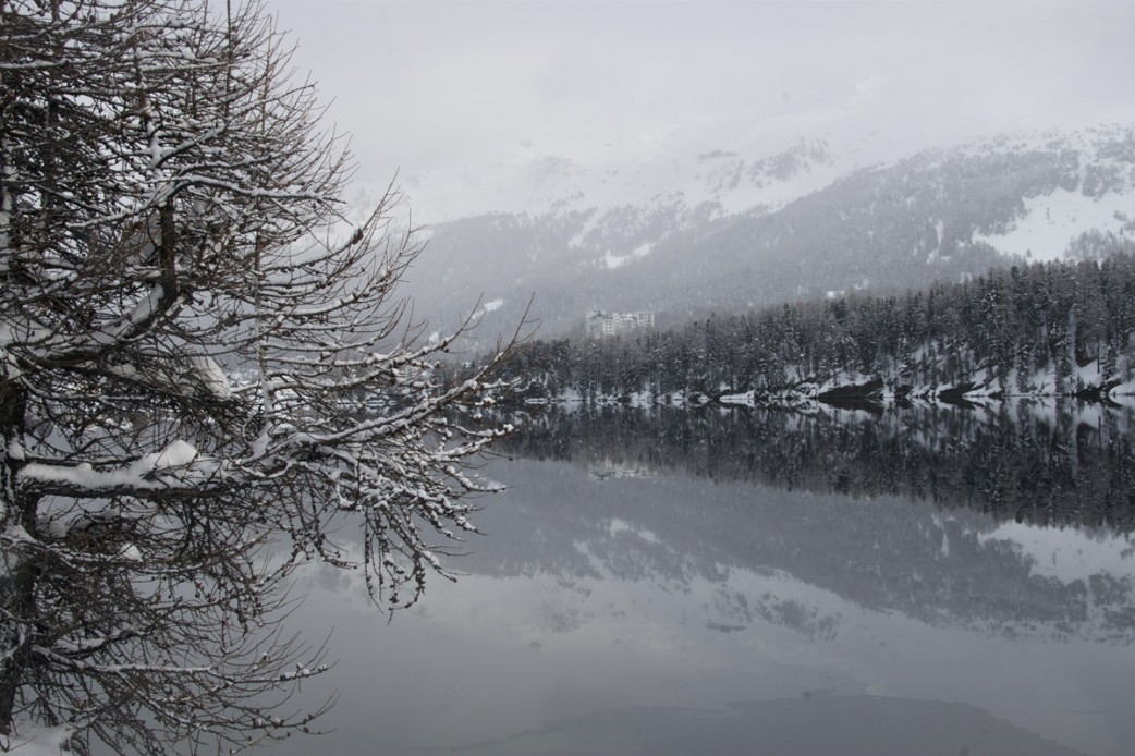 WALDHAUS, SILS-MARIA