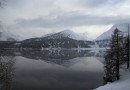 LAC DE SILS AVEC ARBRES