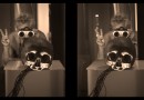THE DEADLY STEREO VIEW